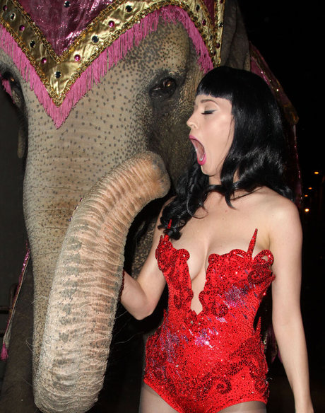 asian pawg onlyfans exclusive image