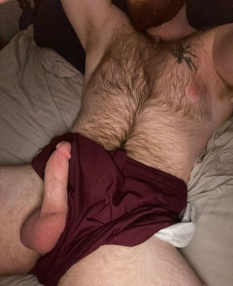 bigbearbiboy pornographic star gallery