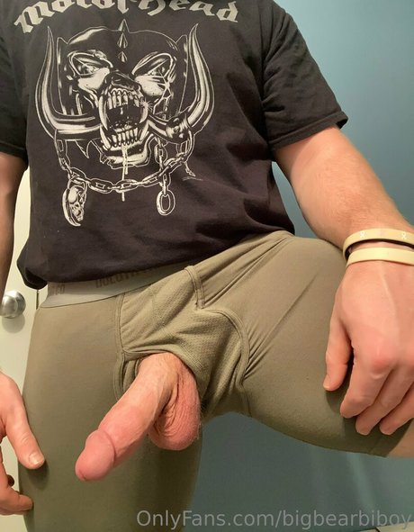 bigbearbiboy nice model archive