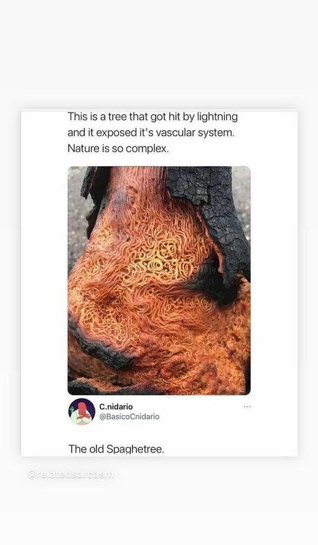 mark magnus420 star top image