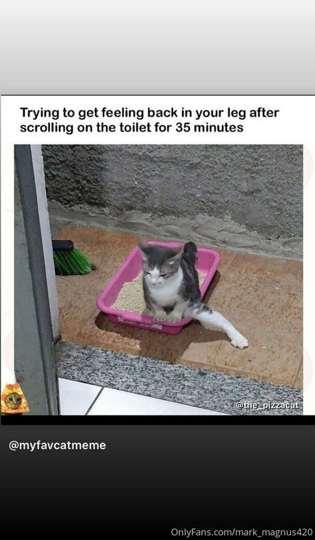 mark magnus420 exclusive star galleries