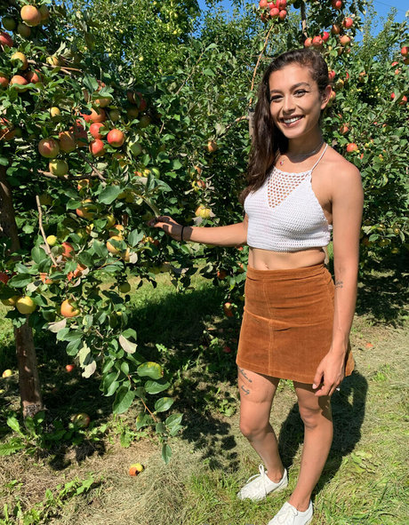 diydes star pretty gallery