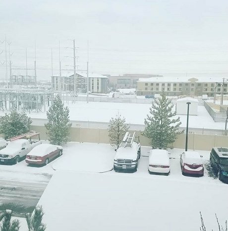 realbrandon818 star adult gallery