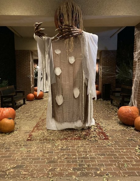 realbrandon818 adult star pics