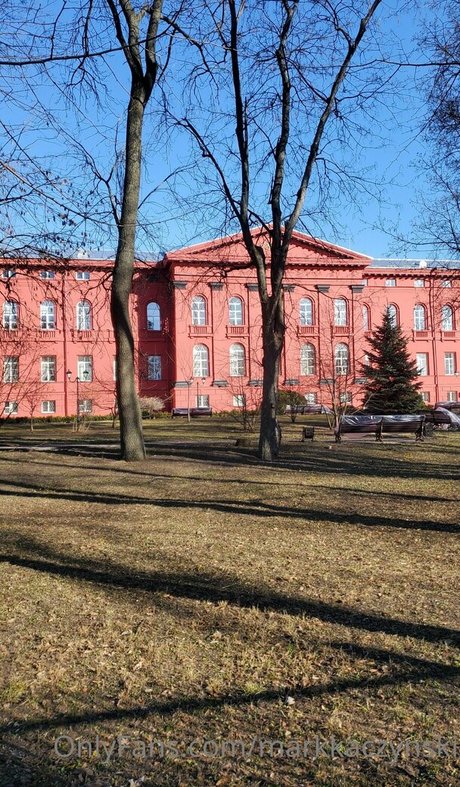 markkaczynski star art galleries