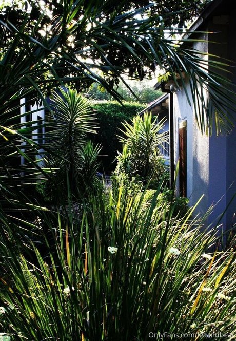 leaandbear model top galleries