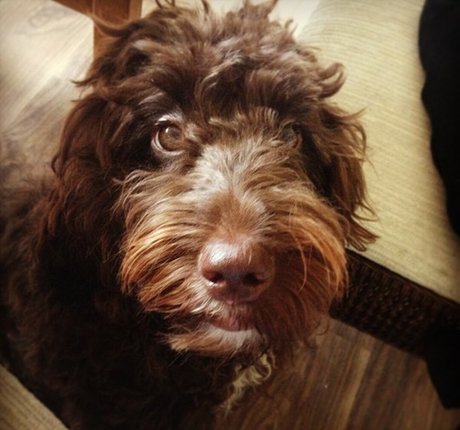 midget nude onlyfans porn galleries