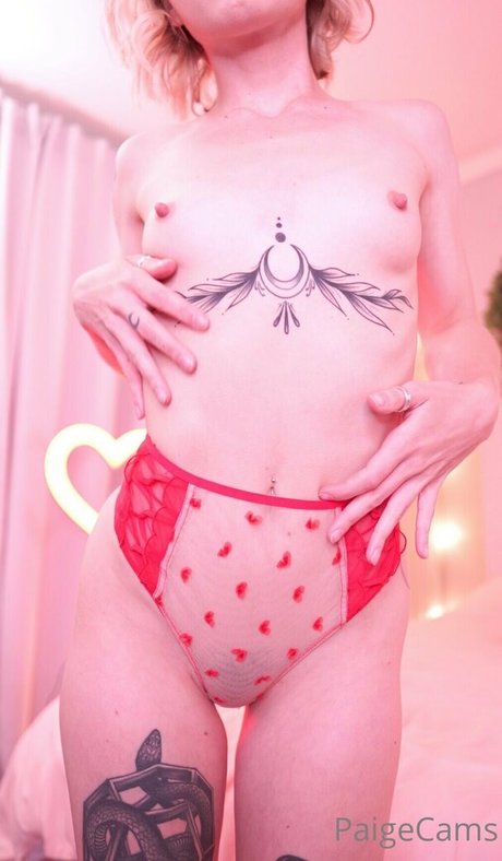 paigecams model beautiful archive