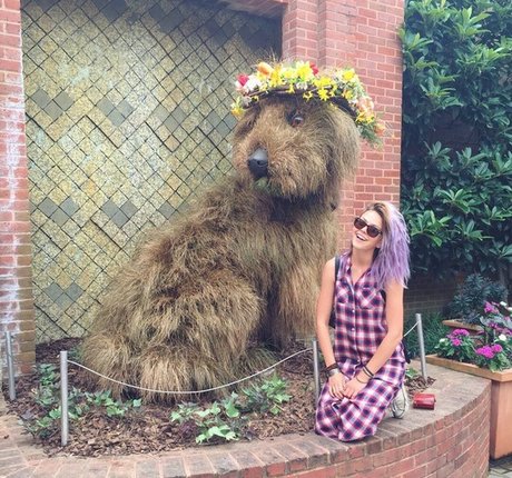 Aimee Richelle Teegarden hot pornstar pictures