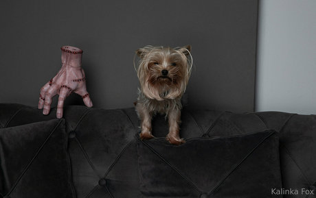 chubby latina teen onlyfans sex picture