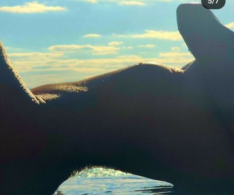 nude pregnant onlyfans sexy images