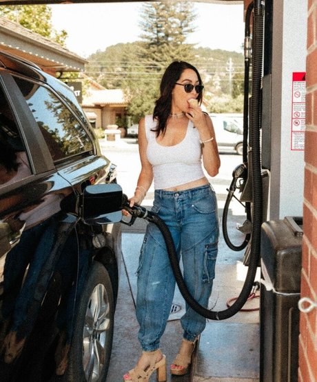 The Bella Twins_ free pornstar image