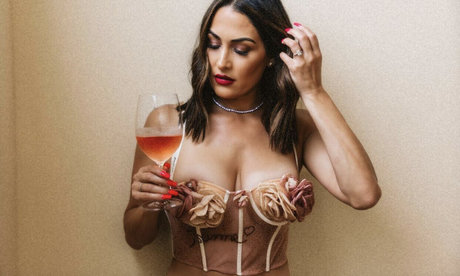 The Bella Twins_ nice model photos