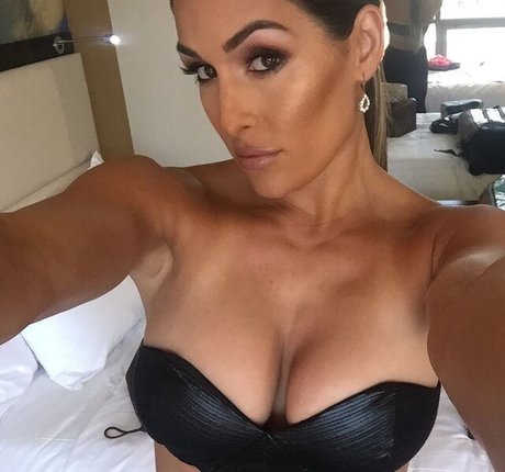 The Bella Twins_ model erotic pictures