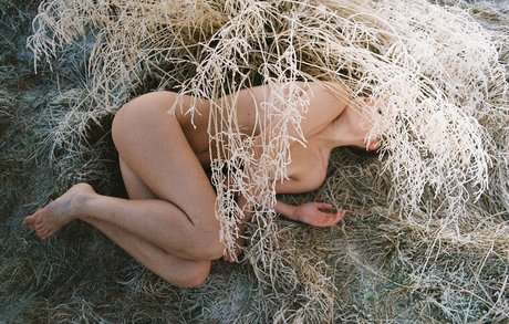 kitchen sex onlyfans sex images