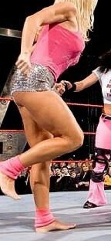 Torrie Wilson art star images