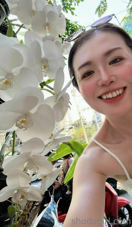 shodogirl pornstar sexy gallery