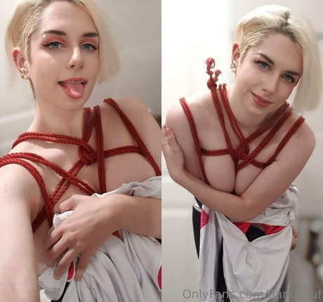 darkslauf top pornstar photo