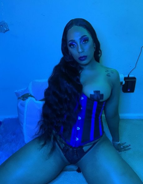 purkissess Quick model image