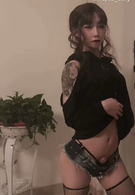 shiliuyelei star best images