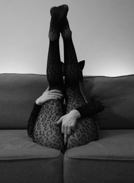 trans free onlyfans hot xxx archive