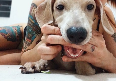 young ebony onlyfans hot images