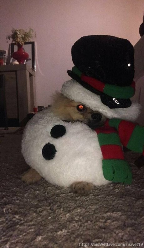 siswetlive free actress pics