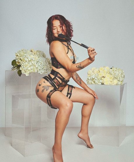 domina lady top model images