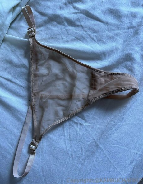 kambuchafree star hd pic