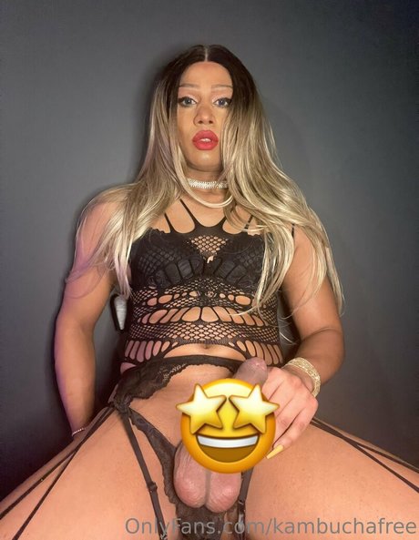 kambuchafree art pornstar pic