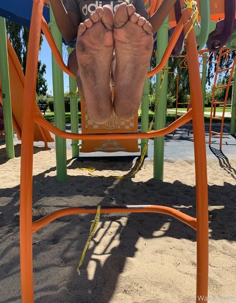 waveysolezz star free archive