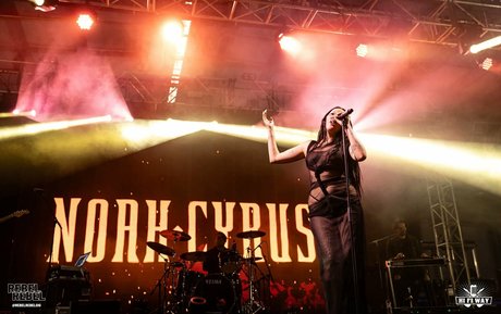 muscle trans onlyfans naked galleries