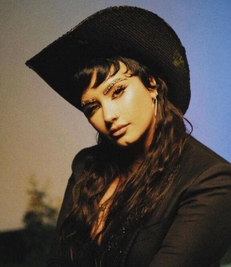 Demi Lovato erotic pornstar archive