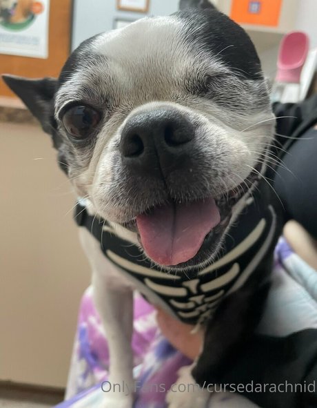 CursedArachnid model naked pic