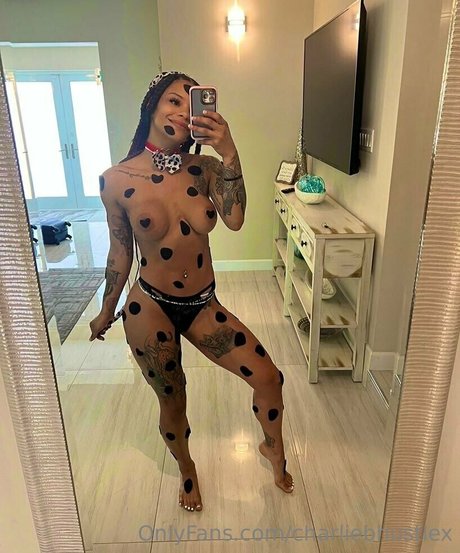 charliebhustlex pornstar exclusive galleries