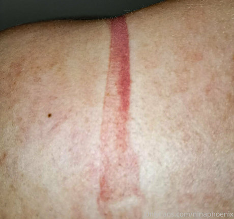 Nina Phoenix art star gallery