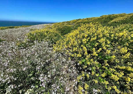 havefaithinmebabe pretty actress pic