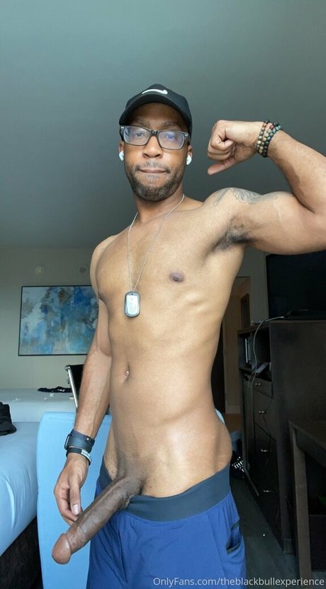 theblackbullexperience free pornstar galleries