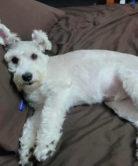 black celebrity onlyfans pornographic picture