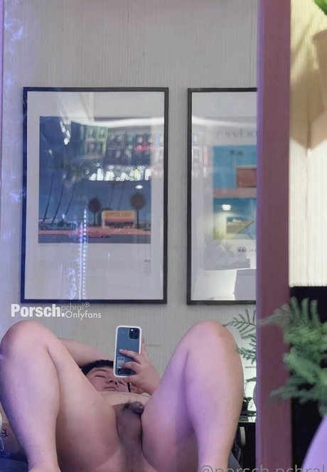 porsch pchral model beautiful picture