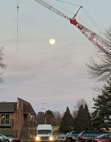 dream candy adult star image