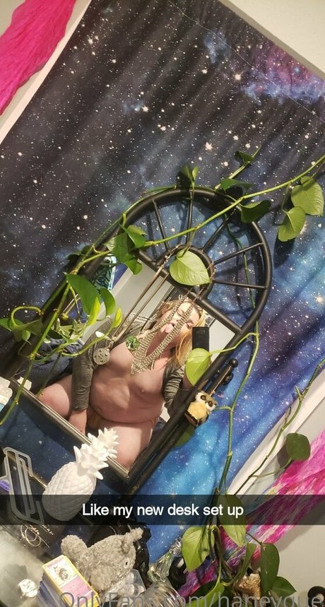 harleyque erotic star galleries