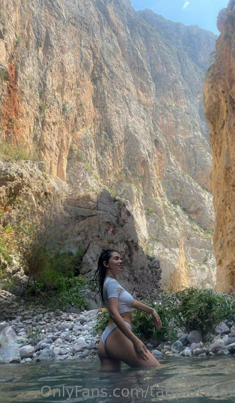 tatiplatters top star galleries