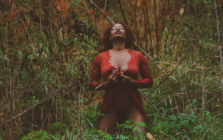 Sayhellojess high quality star gallery