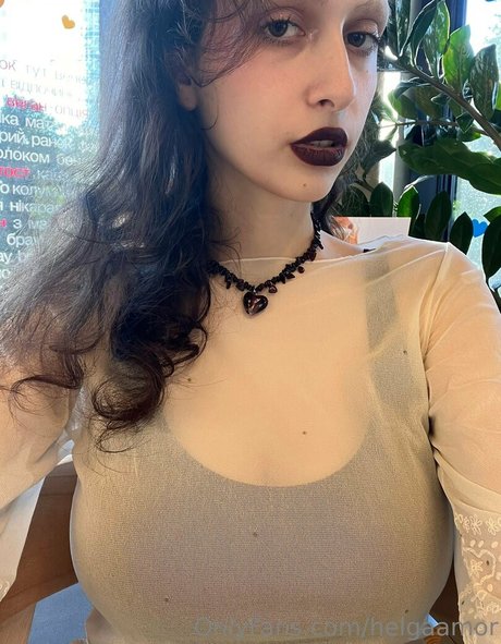 helgaamor top model img