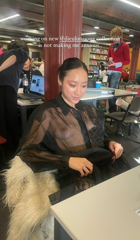 Dieu Linh Vuong top star images