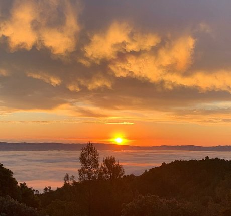 Yana Mori model adult img