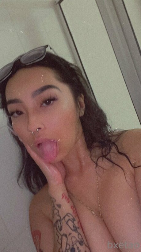 Bxetao star perfect archive