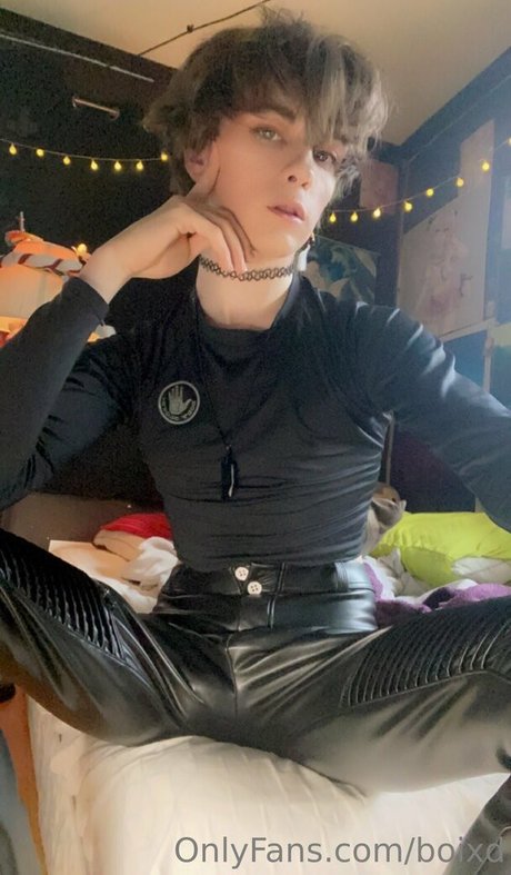 boixd perfect star img