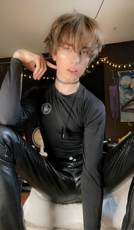 boixd model best images